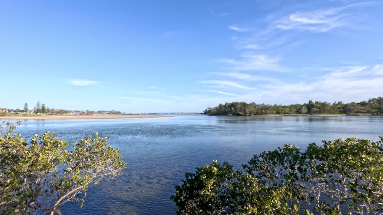 un lago tranquilo rodeado de exuberante vegetación
