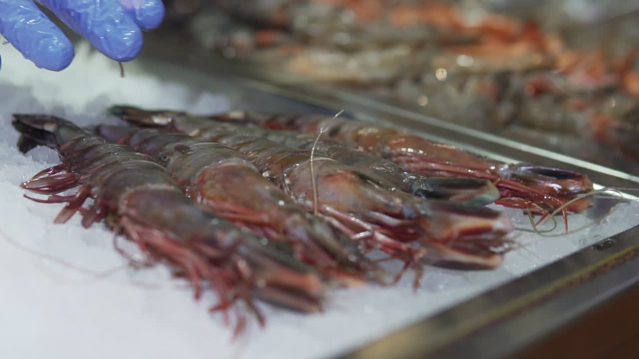 putting big prawns on ice, slow motion 1080p