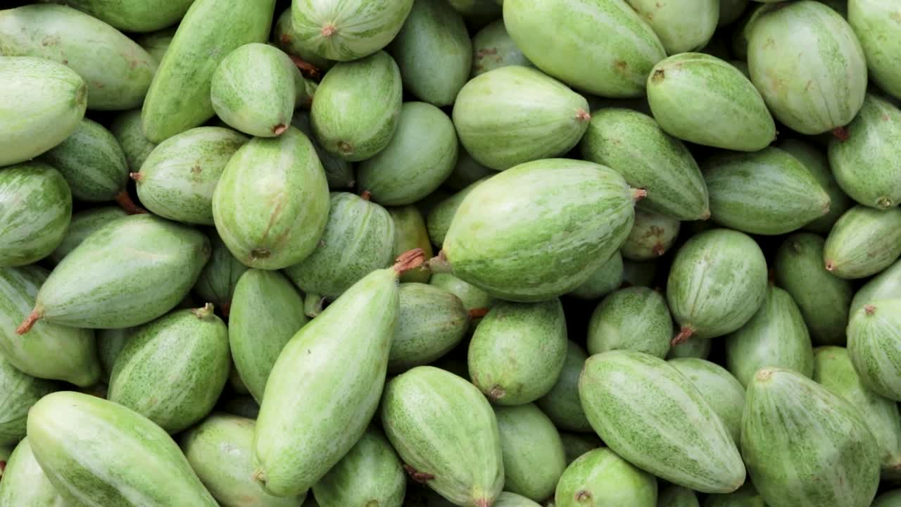 다른 각도에서 가까운 농장의 신선한 유기농 뾰족한 조롱박