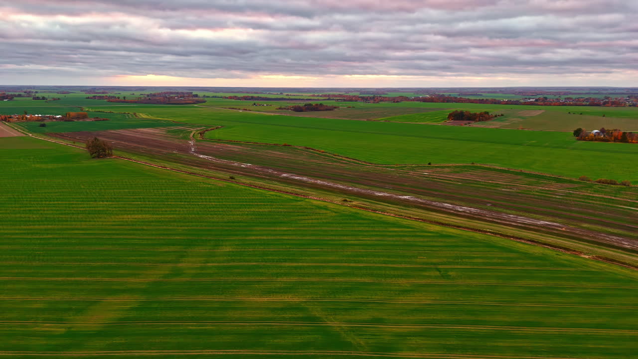 воздушный вид летать над зелеными сельскими, сельскохозяйственными полями пейзаж, панорамный вид, дневной свет горизонта фона