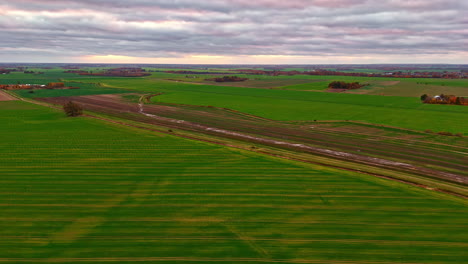 vista aérea volar por encima del verde rural, campos de cultivos agrícolas paisaje, vista panorámica, fondo del horizonte de la luz del día