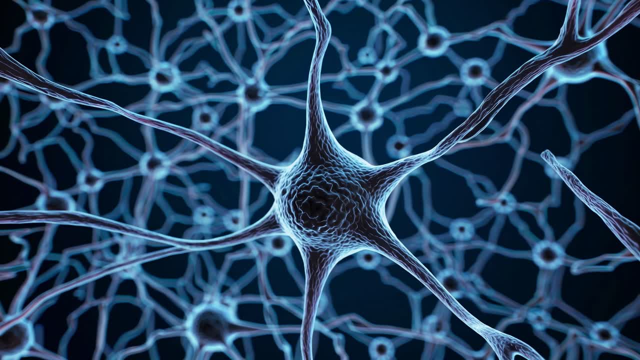 Detailed view of Neurons and Neural Network