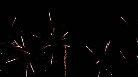 simultaneous explosions of colorful bright lights filling the night sky at a beachfront of a famous tourist destination