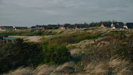 Amüsante-Wiesen-Von-Jütland,-Batisches-Meer,-Helgoland,-Dänemark