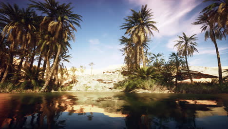 paisaje de oasis