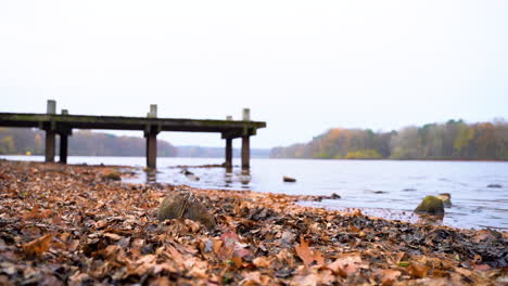 close up of fallen autumn leaves on the ground with wooden bridge by the lakeside at daytime