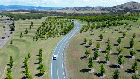 drone aerial landscape of car vehicles and bicycle rider driving down winding road street in vineyard valley region with trees national arboretum canberra act australia industry outdoors transport