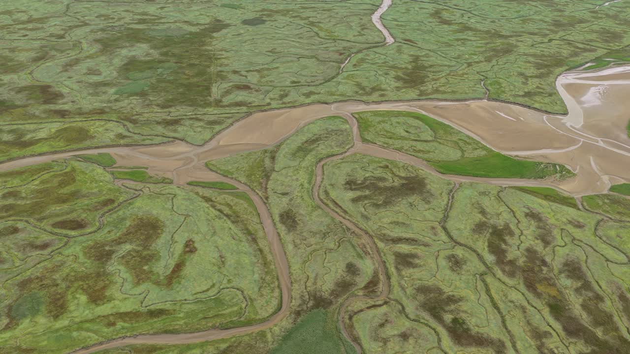 Saeftinghe tidal wetlands, drone panorama of gullies and salt marsh, Zeeland