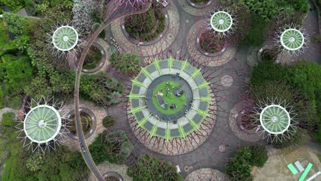 supertree groves of gardens by the bay in singapore, rising top down aerial