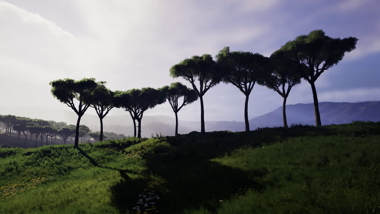 Silhouettes of trees against a serene landscape during golden hour