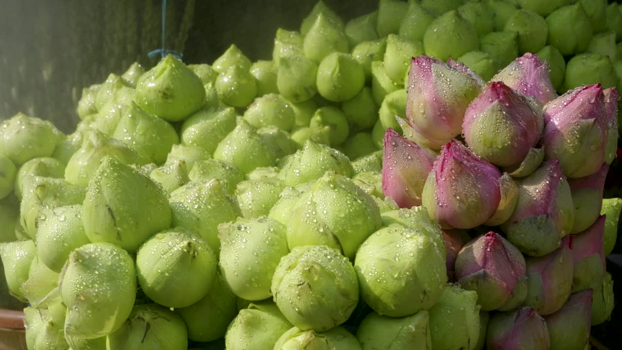 Lots flower buds closed, slow motion slider