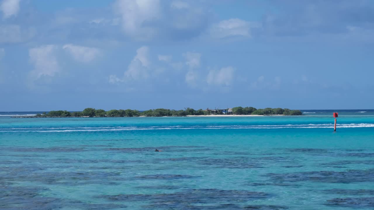 Snorkeling over coral reef in crystal clear turquoise ocean water of lagoon with tropical island on Moorea in French Polynesia, South Pacific