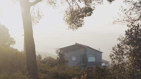 lone house surrounded by morning mist during golden hour