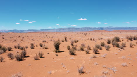 karoo semi-desert in south africa, drone fly over low to high