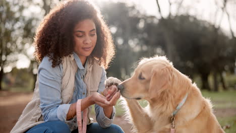 A woman training her Golden Retriever dog in a park
