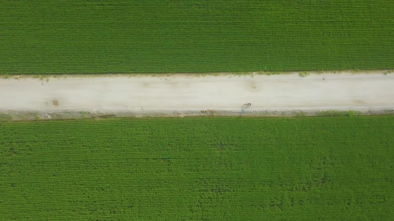 시골 라운드 와 함께   의 공중 사진