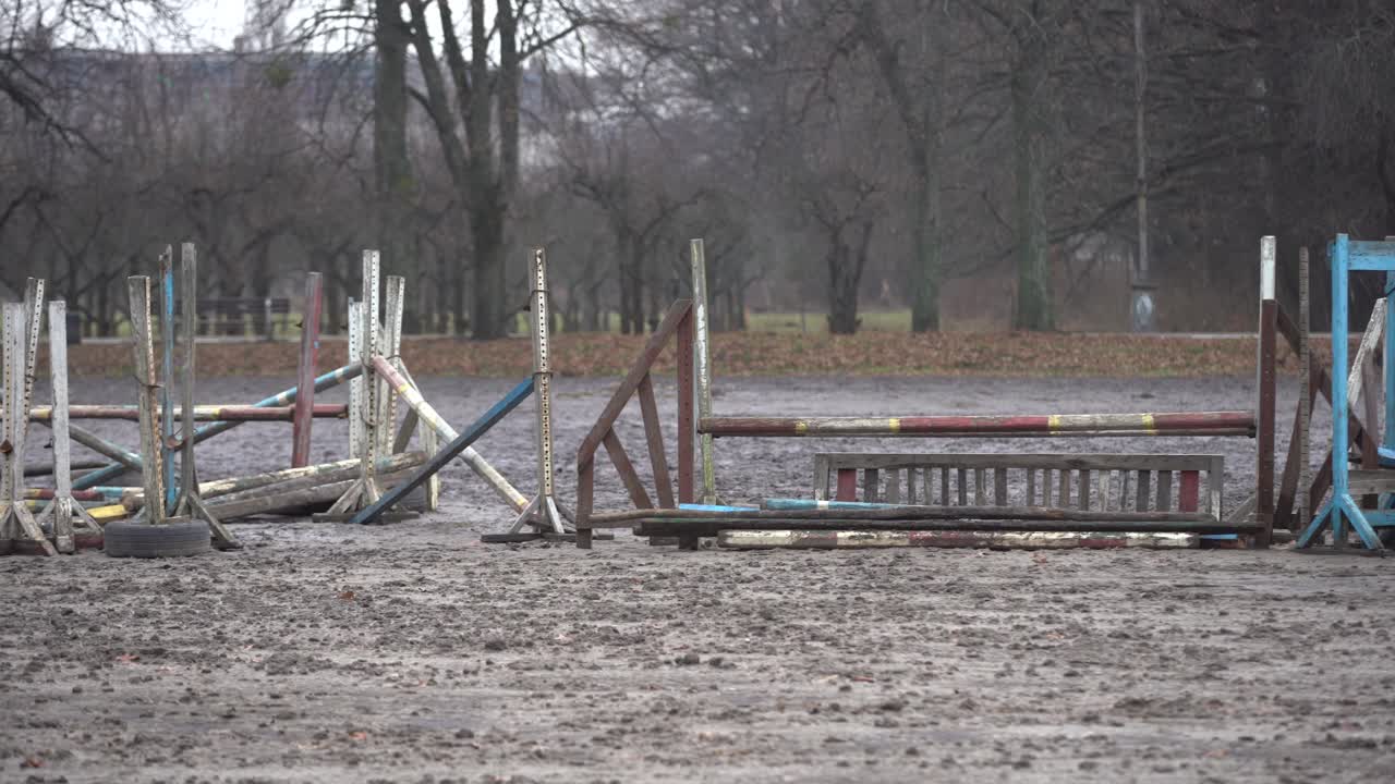 흐린 추운 날씨에 우울한 가을 공원, 가을의 우울한 페인트. 서리가 내리는 길의 숲