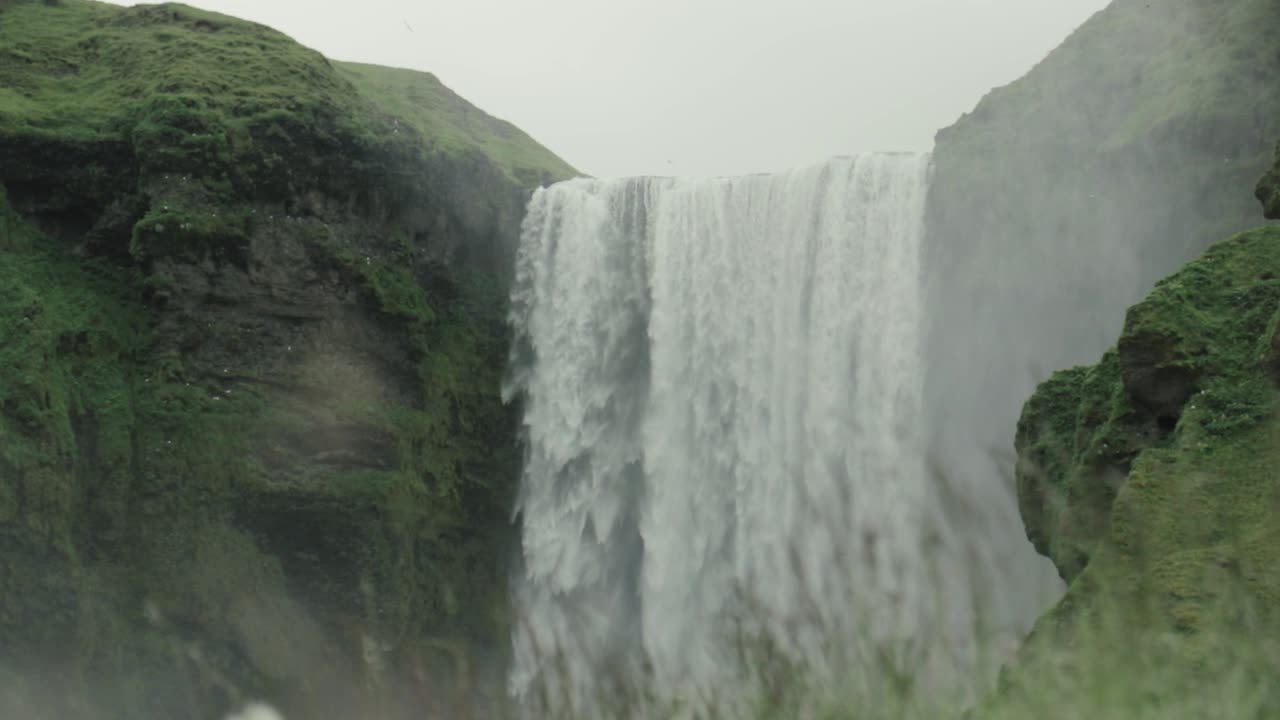 foco de rack de plantas a cascada en islandia