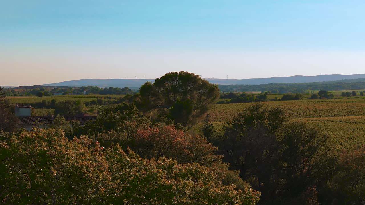 Drone's Long-Focal View: Vineyard Tree with Mountain and Wind Turbines