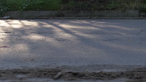 Bodenaufnahme-Der-Straße,-Schatten-Der-Bäume-Auf-Asphalt,-Sonnenlicht