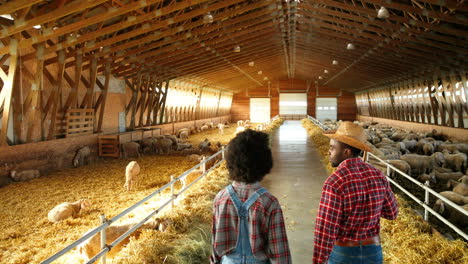 rear view of african american woman and man farmers walking with bucket and pitchfork talking in a stable with sheep flock