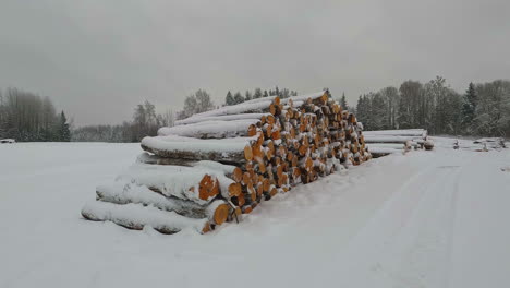 pile of prepared logs for sale covered in snow