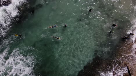 triathlon swimmers exit the water