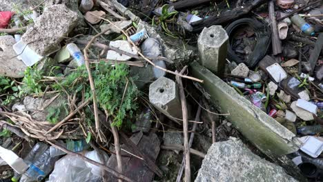 progression of litter accumulation in nature