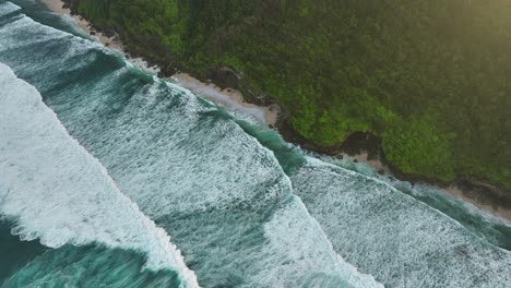 long rolling waves hitting tropical uluwatu shore with green jungle, aerial