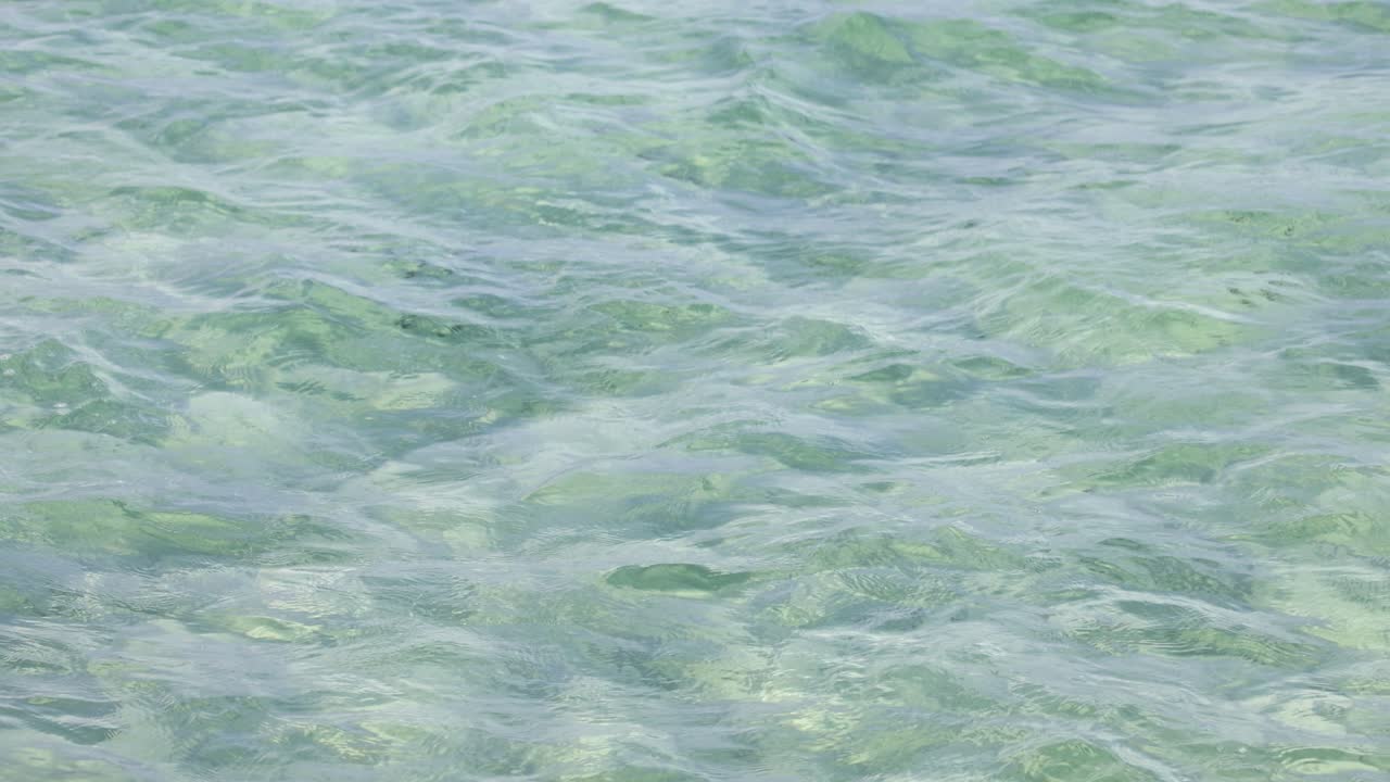 고 밝은 초록색 물 위에서 부드러운 파도가 움직입니다.