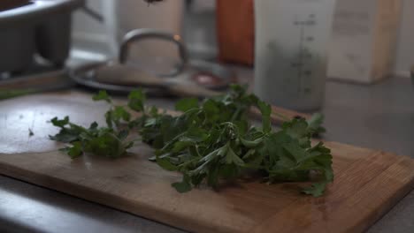 close up of a chef preparing parsley for a recipe