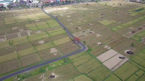 aerial view of agriculture paddy field