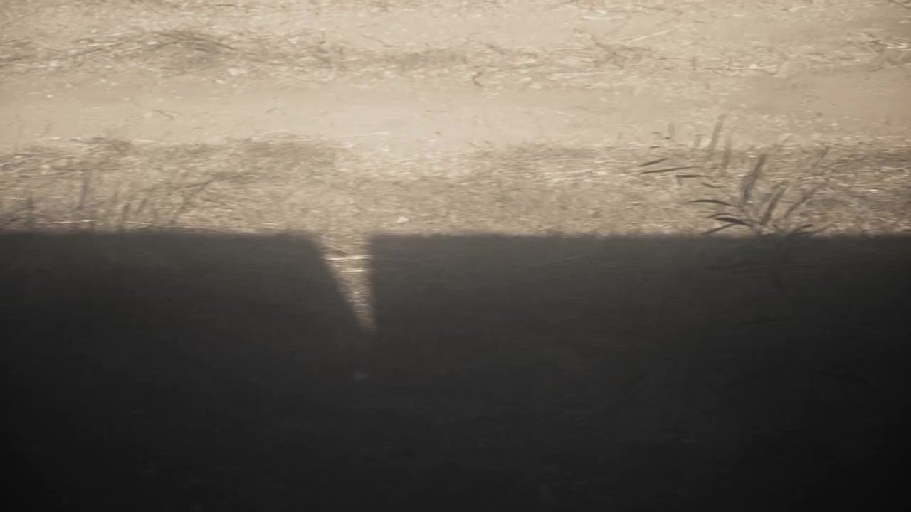 Passenger view of a train shadow