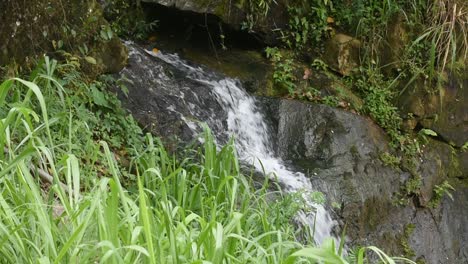 small water fall in a village in sri lanka