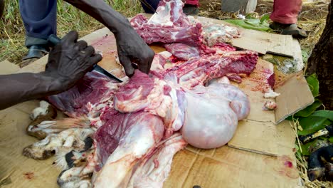 masai community people slaughtering goat, indigenous people slaughtering goat