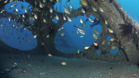 Taucher-Beobachten-Das-Schwimmen-Durch-Eine-Große-Unterwasserstruktur,-Die-Tief-Unter-Dem-Ozean-Als-Künstliches-Riff-Angelegt-Wurde