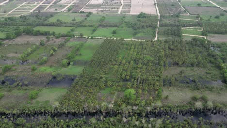 Exploring-Manialtepec-Mangroves-from-Above-with-a-Drone-near-Puerto-Escondido,-Oaxaca,-Mexico