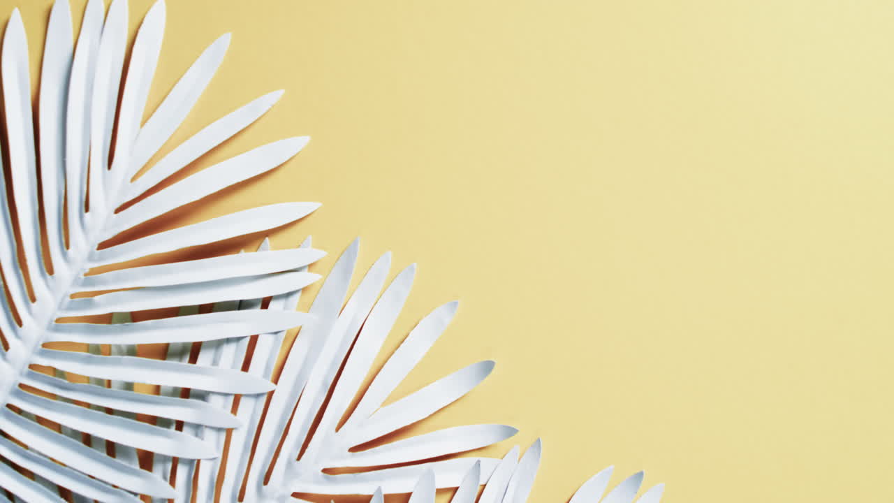 video de hojas de plantas blancas con espacio de copia en fondo amarillo
