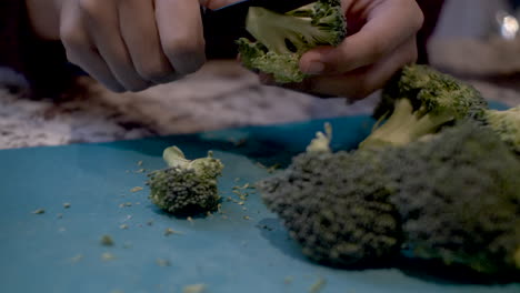 Hands-Female-Chef-Carefully-Slicing-Broccoli-Over-Cutting-Board