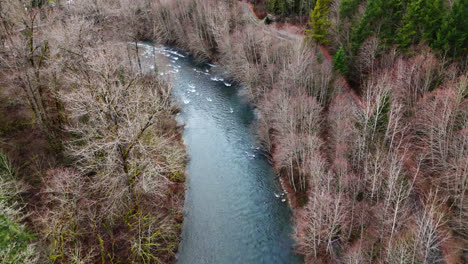 pacific northwest smooth backwards shot of flowing cedar river in washington state