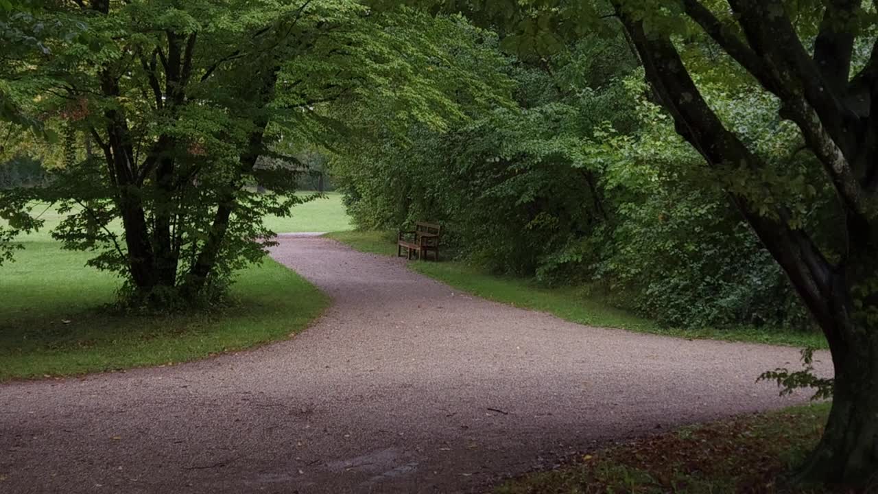 Walkway in nature with bench