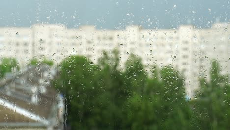 사람 없음, 실시간, 봄, 자연 조명, 풍경, 환경