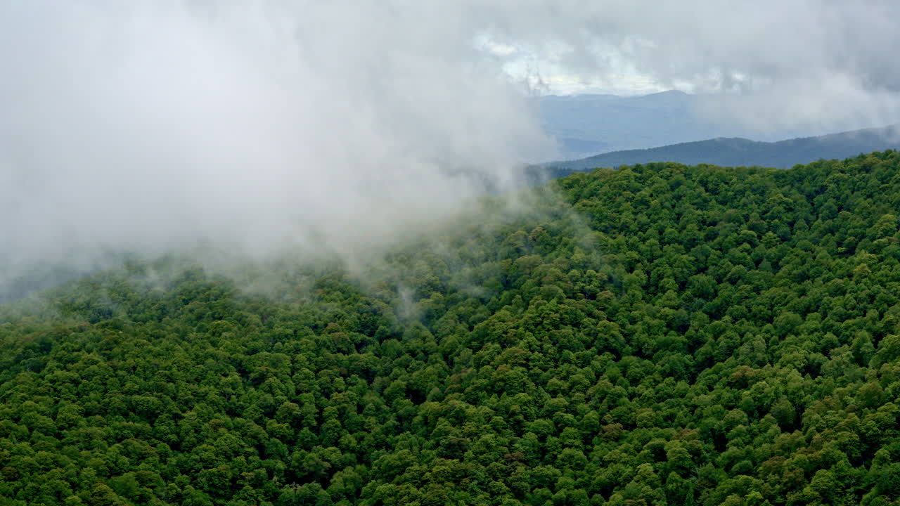 Rain and mist soften the dramatic outlines of the Smokies in this moody aerial shot