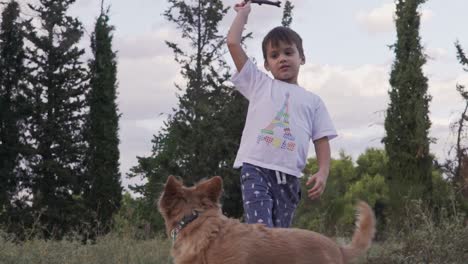 caucasian kid plays throw and catch with his pet dog, using a plastic toy stick outdoors, trees and cloudy sky in the background, slow motion