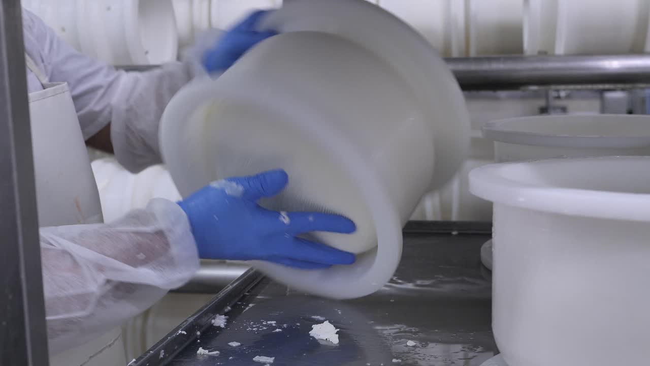 supervisando el envejecimiento del queso, el trabajador de la fábrica voltea la rueda de queso en forma plástica