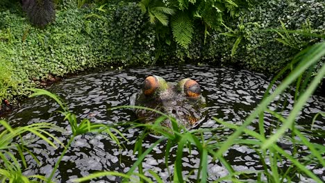 Are-you-scare-of-the-big-frog-under-the-water,-Scotland,-United-Kingdom