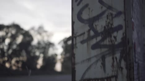rusty jamb with murals and wild vegetation in an abandoned warehouse from top to bottom at sunset