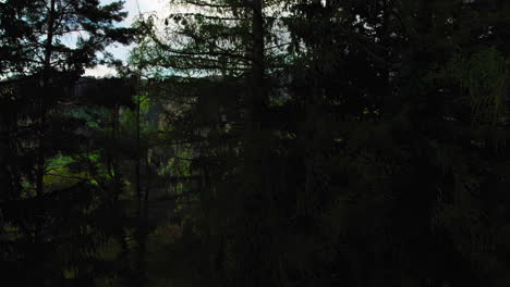 Subiendo-Para-Revelar-El-Paisaje-Montañoso-De-Suiza.