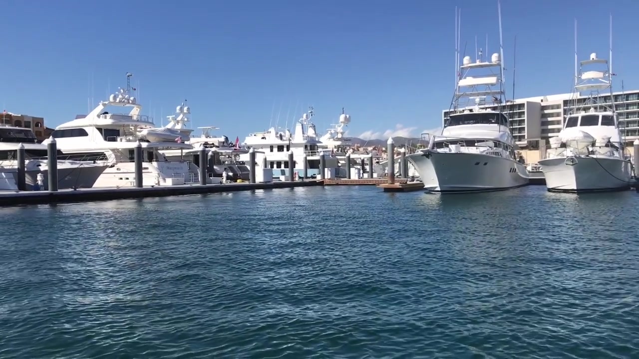 Vista a livello del mare di yacht di lusso ormeggiati in un porto turistico moderno con acqua blu calma, pontili galleggianti ed edifici sul lungomare a Cabo San Lucas, Baja California Sur, Messico