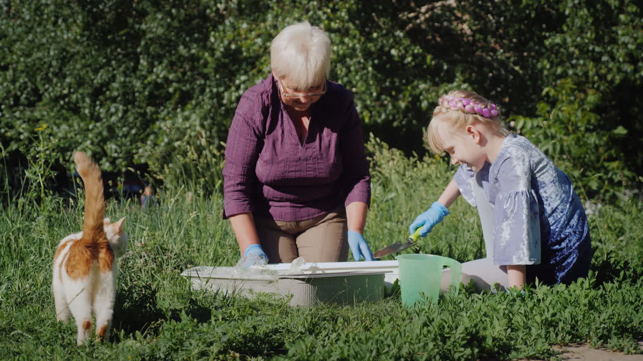 할머니와 손녀는 마당 활동적인 노인 개념에 꽃을 함께 넣어